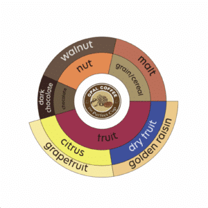 Guatemala Huehuetenango Highlands Collection Washed