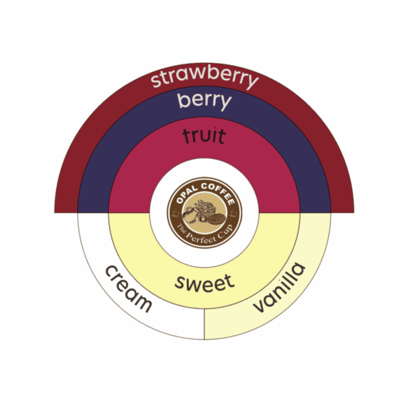 Indonesia Azalea Natural T.50