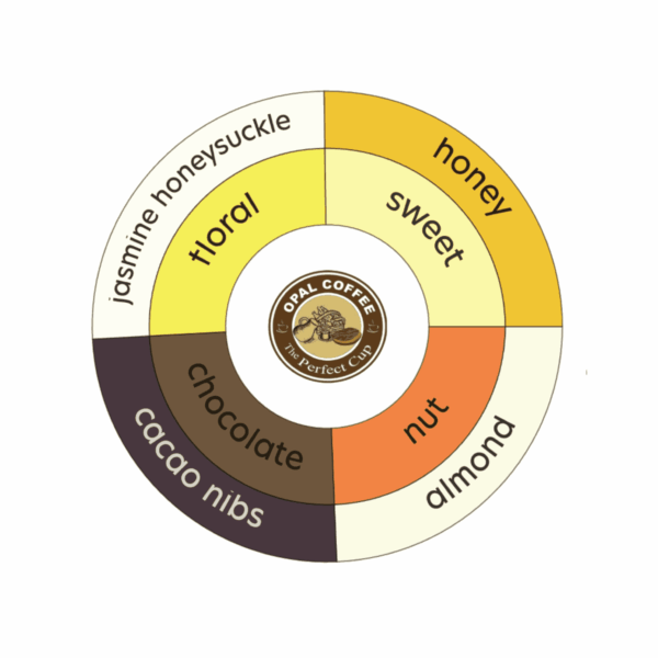 Colombia Asociación de Mujeres Rurales de San Alberto Washed