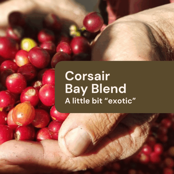 Corsair Bay Blend