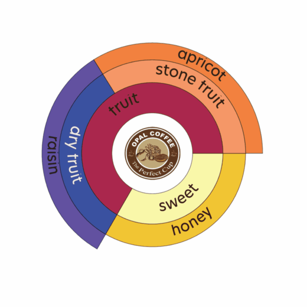 Guatemala Finca El Mirador Del Volcan Bourbon Catuai Washed