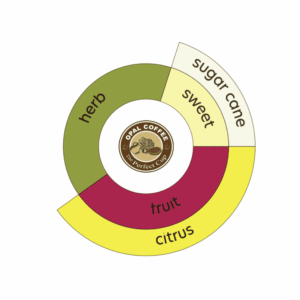 Indonesia Azalea Honey T.50