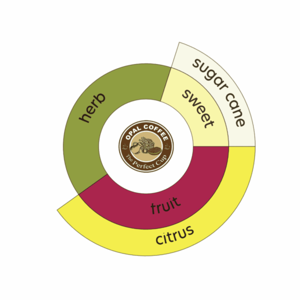 Indonesia Azalea Honey T.50