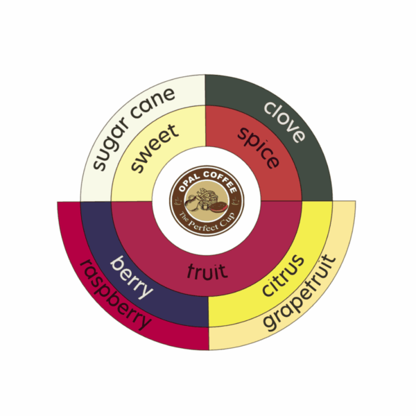 Indonesia Cianjur Honey Anaerobic