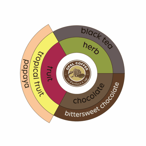 Indonesia Papua Jayapura Mt Tiom Washed