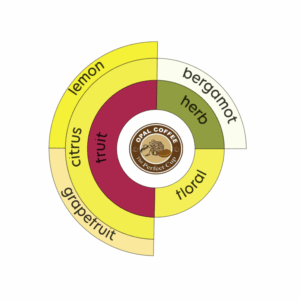 Ethiopia Limu Kossa Gr 2 Washed