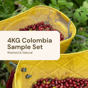 4KG Sample Set - Colombia