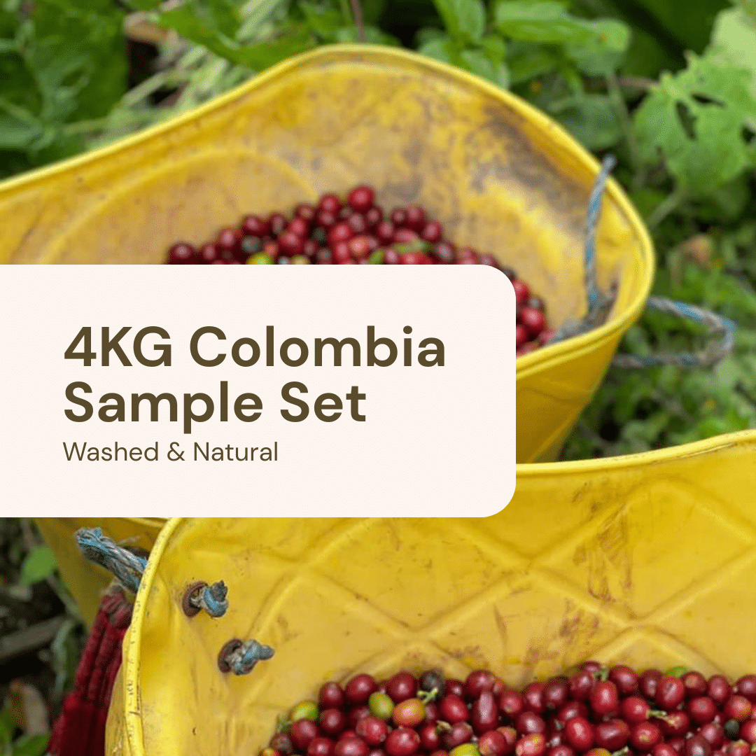 4KG Sample Set – Colombia