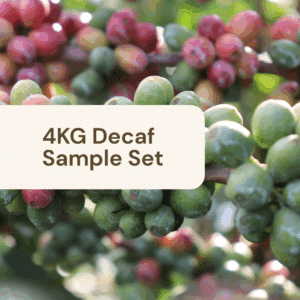 4KG Sample Set - Decaf