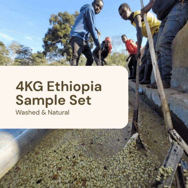 4KG Sample Set – Ethiopia