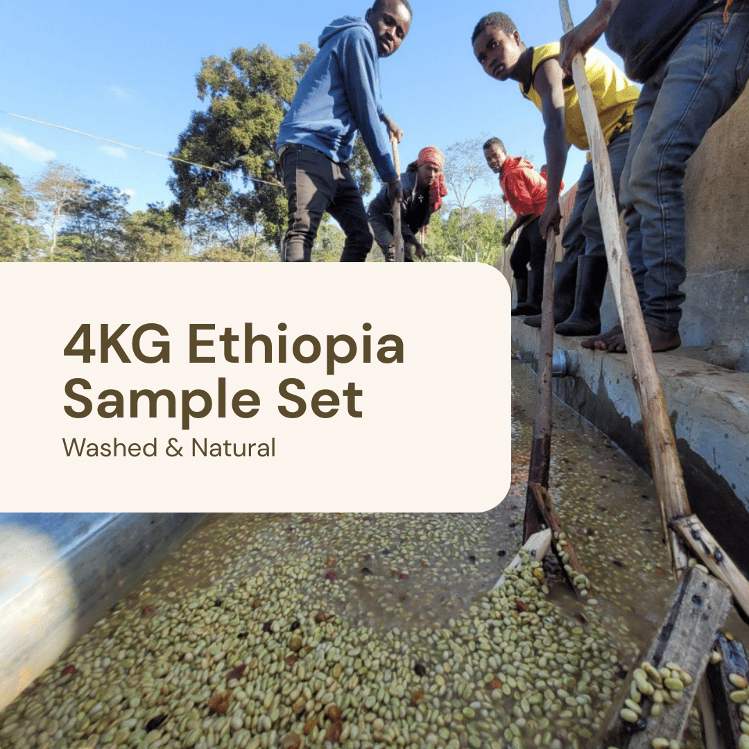 4KG Sample Set – Ethiopia