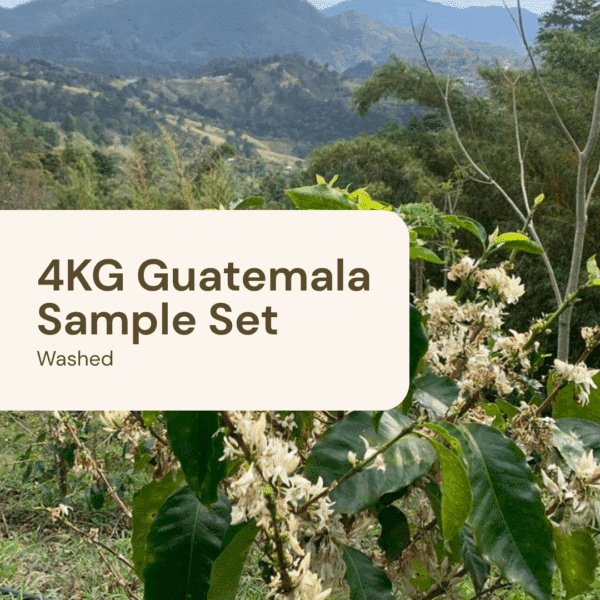 4KG Sample Set – Guatemala