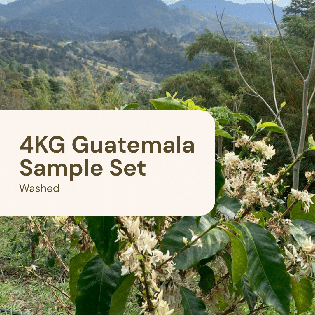 4KG Sample Set – Guatemala