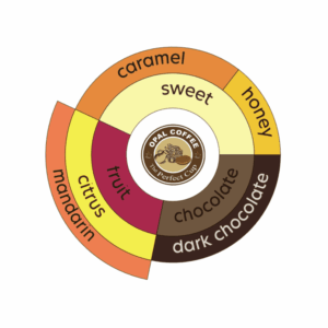 Guatemala Finca La Bella Caturra Washed