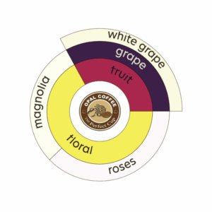 Indonesia Aurora Dew Magenta Fruits Inoculation & Yeast