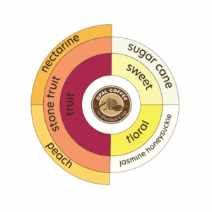 Indonesia Aurora Dew Momo Peach Inoculation & Yeast