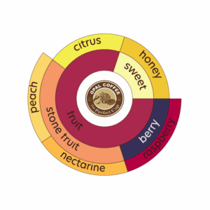 Indonesia Astro Toraja Pango Pango Jennie Edition Extended Natural