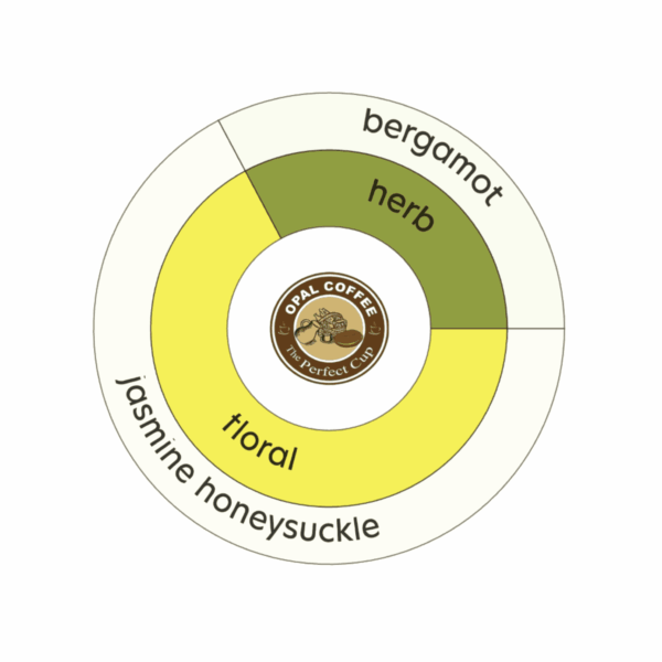Indonesia Aurora Dew Burgundy Jasmine Inoculation & Yeast