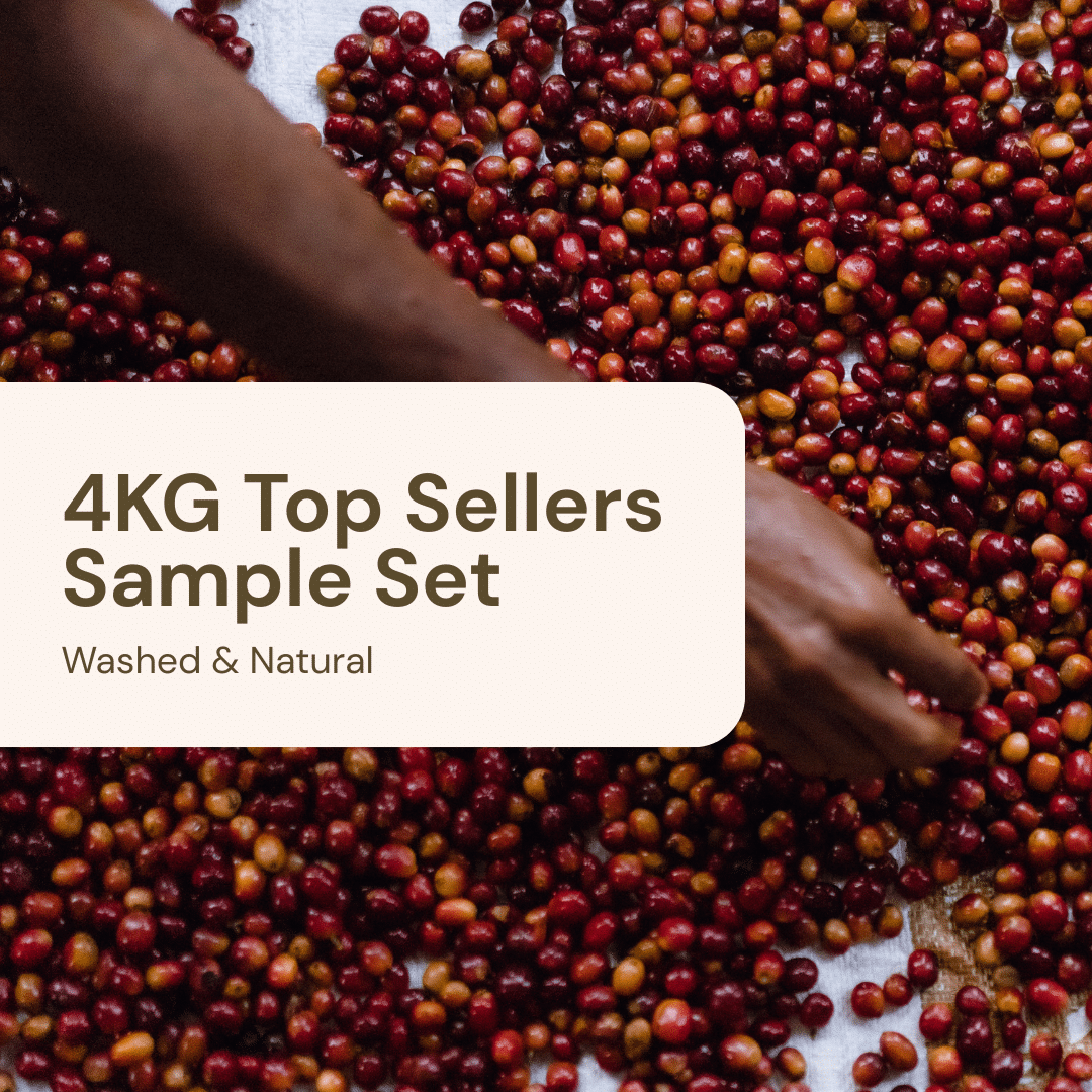 4KG – Top Sellers Sample Set
