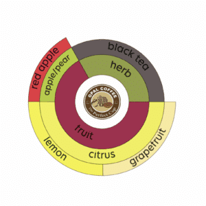 Kenya Muthunzuuni AA Washed