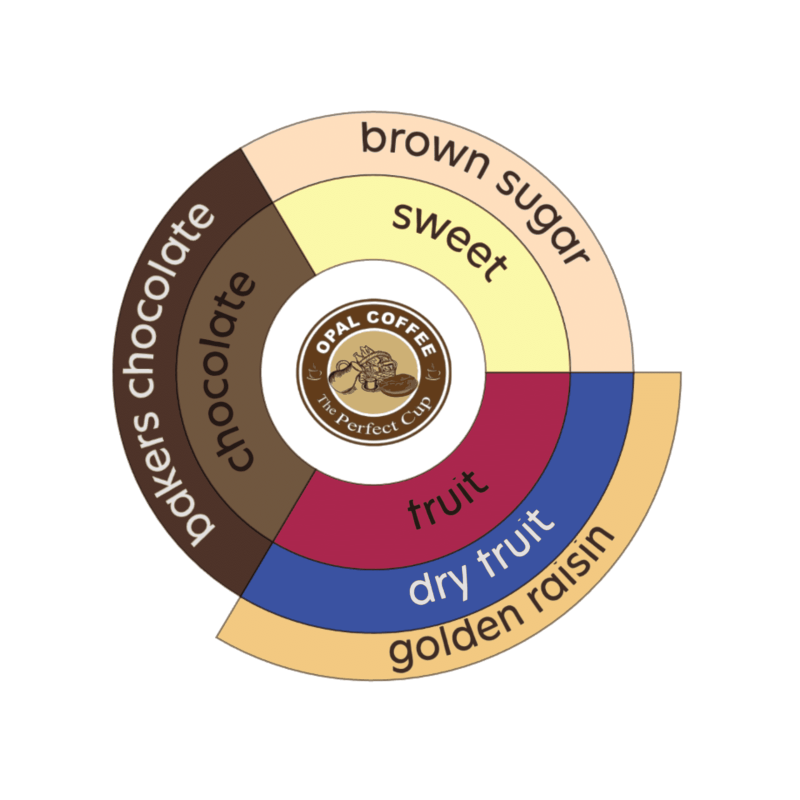 Colombia Cauca EP Washed