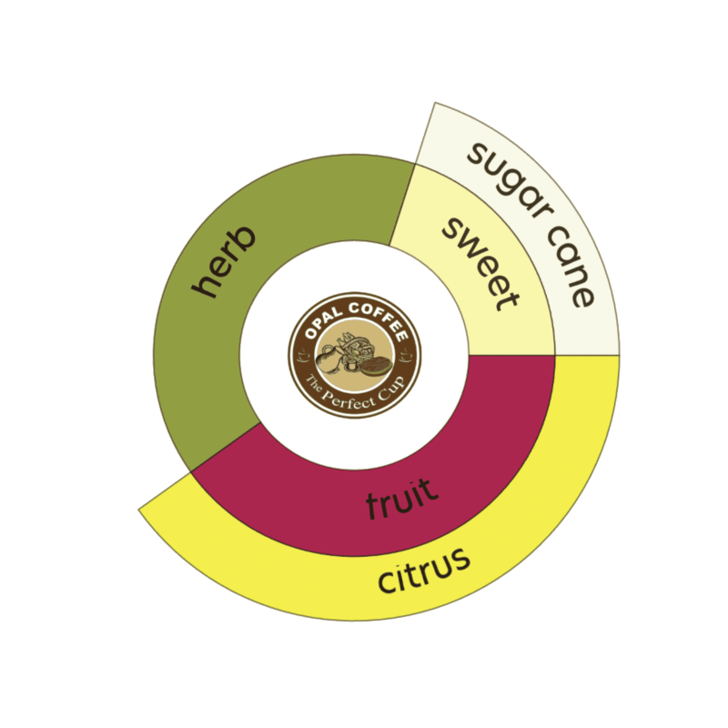 Indonesia Azalea Honey T.50